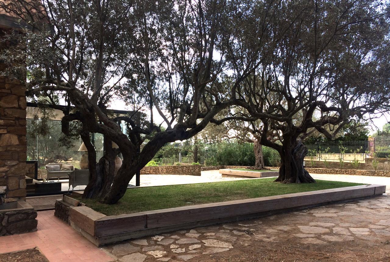 B&B La Collegiata Caltagirone Ngoại thất bức ảnh